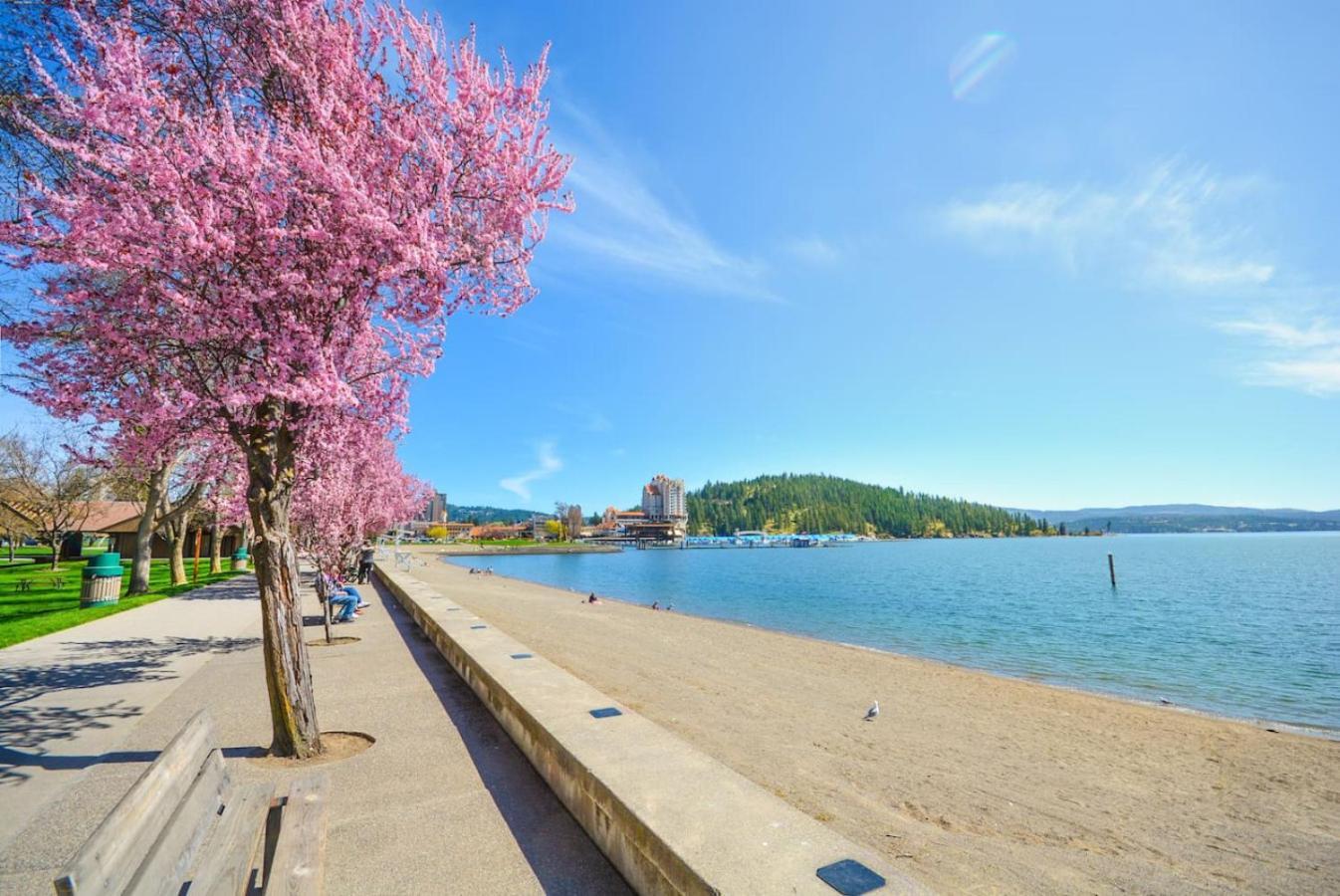 Craftsman Charmer In Downtown Cda كويور دي أليني، أيداهو المظهر الخارجي الصورة